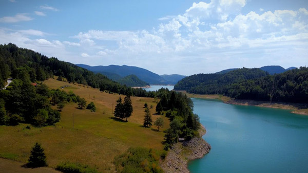 Zaovinsko jezero na Tari, obala okružena šumom